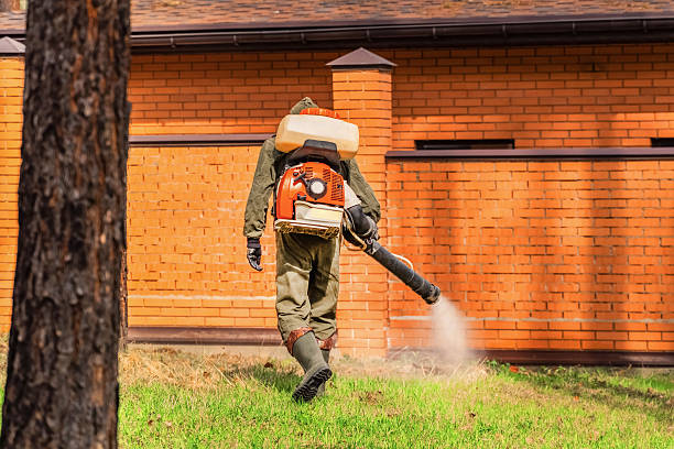 Bed Bug Clearance Verification and Documentation in Spring Glen